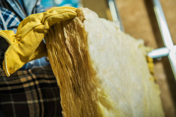 Best Insulation Contractor Near Me  in Saginaw, MI